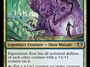Experiment Kraj (Dissension)
