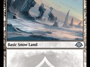 Snow-Covered Wastes (White Border) (Mystery Booster 2)
